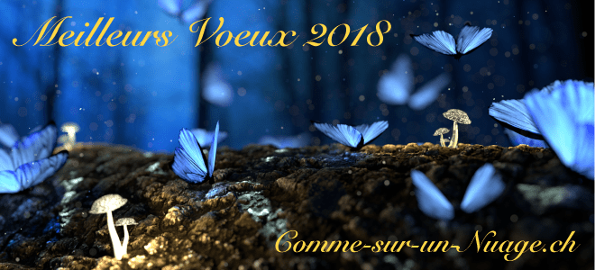 Très belle année et meilleurs voeux pour 2018