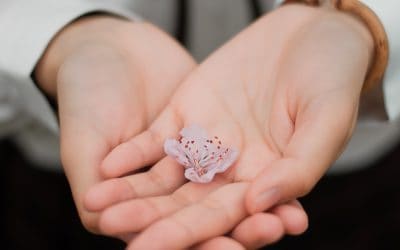 Réparer les dégâts : les mains